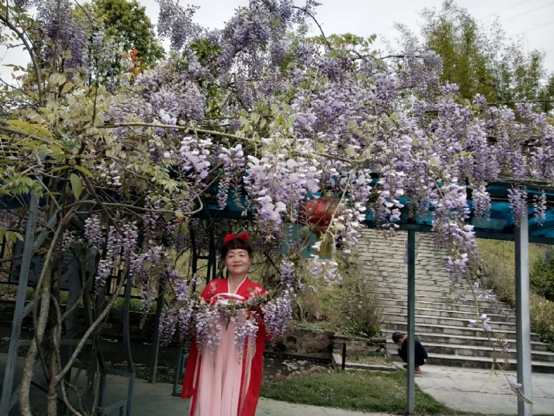 莉莉的第一张照片--莆田征婚网