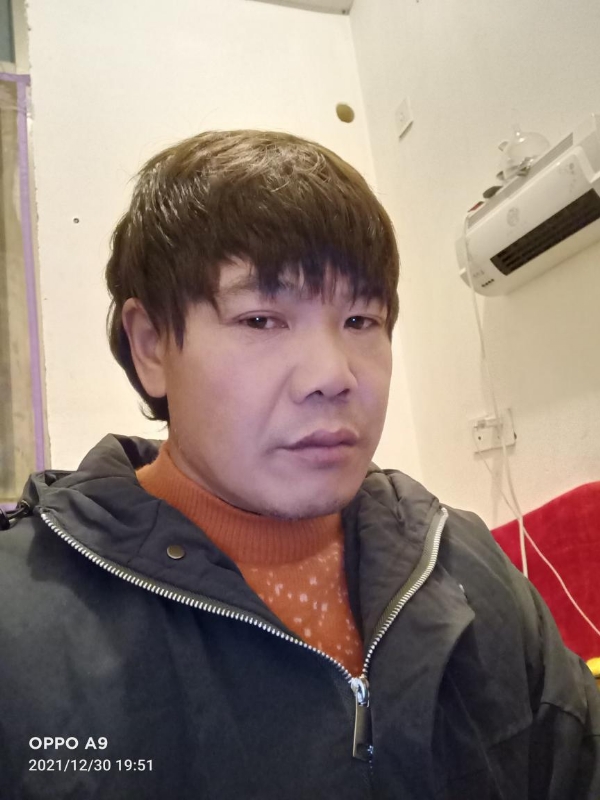 小鸟找窝的第一张照片--莆田征婚网