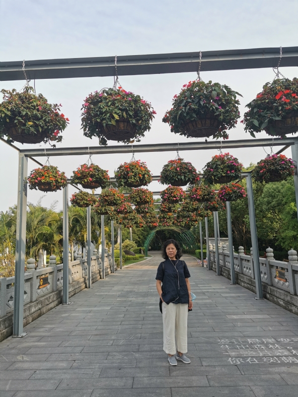 一叶知秋的第二张照片--莆田征婚网