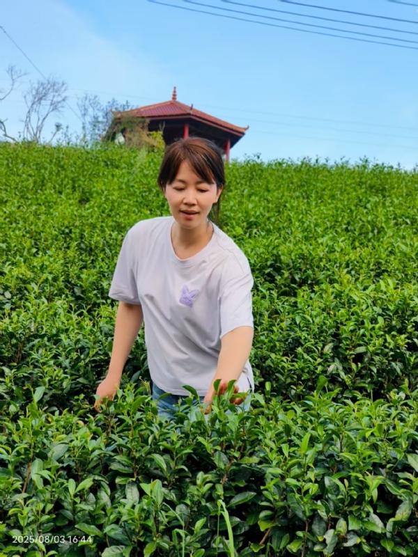 Q绮芳的第一张照片--莆田征婚网